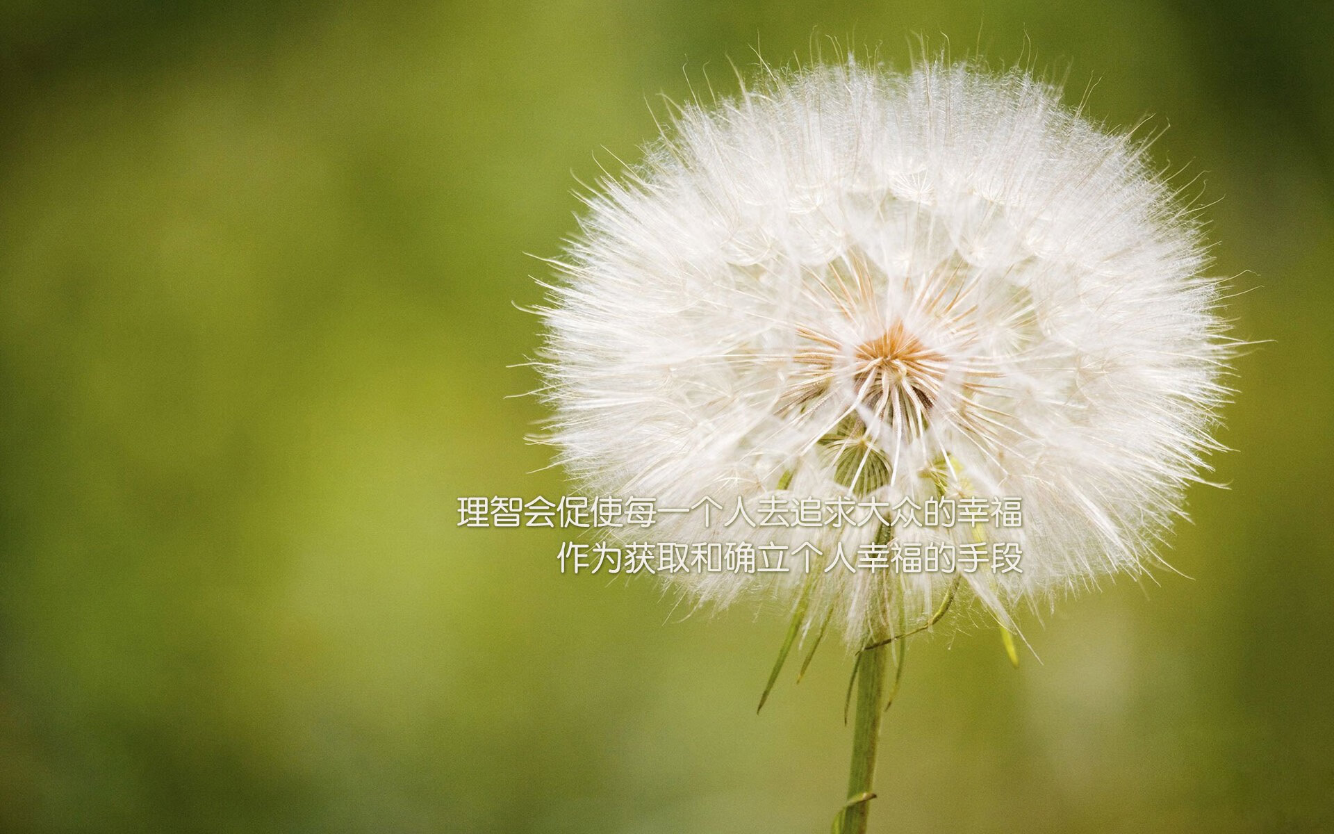 九游下载中心-史上最震撼的球队逆转：不可复制的奇迹瞬间，经典逆转比赛