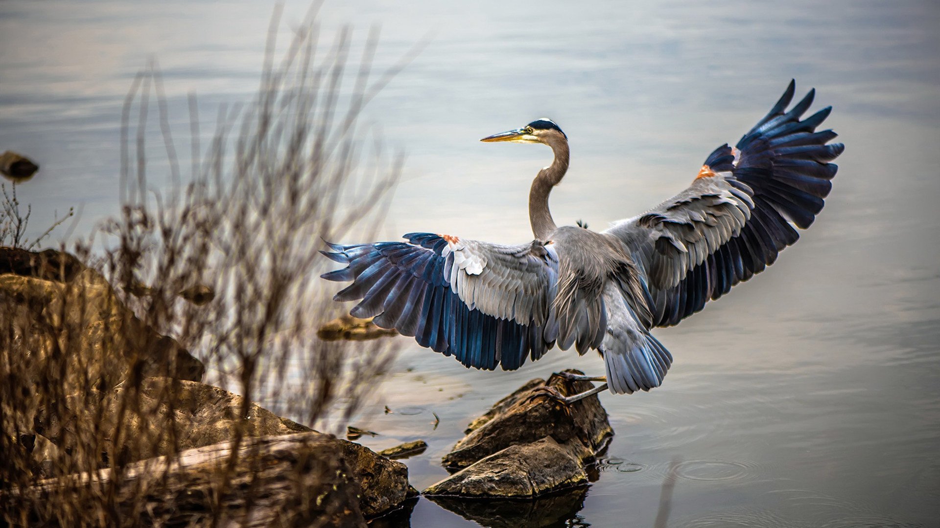 国际台球联盟创新赛制,推动运动公平发展,国际台球的基本知识与打法