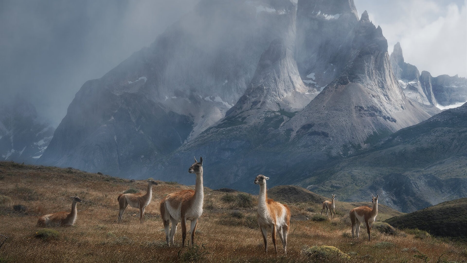 九游（jiuyou.com）游戏-足球影视剧拍摄计划启动以联赛为背景，足球系列电影大全