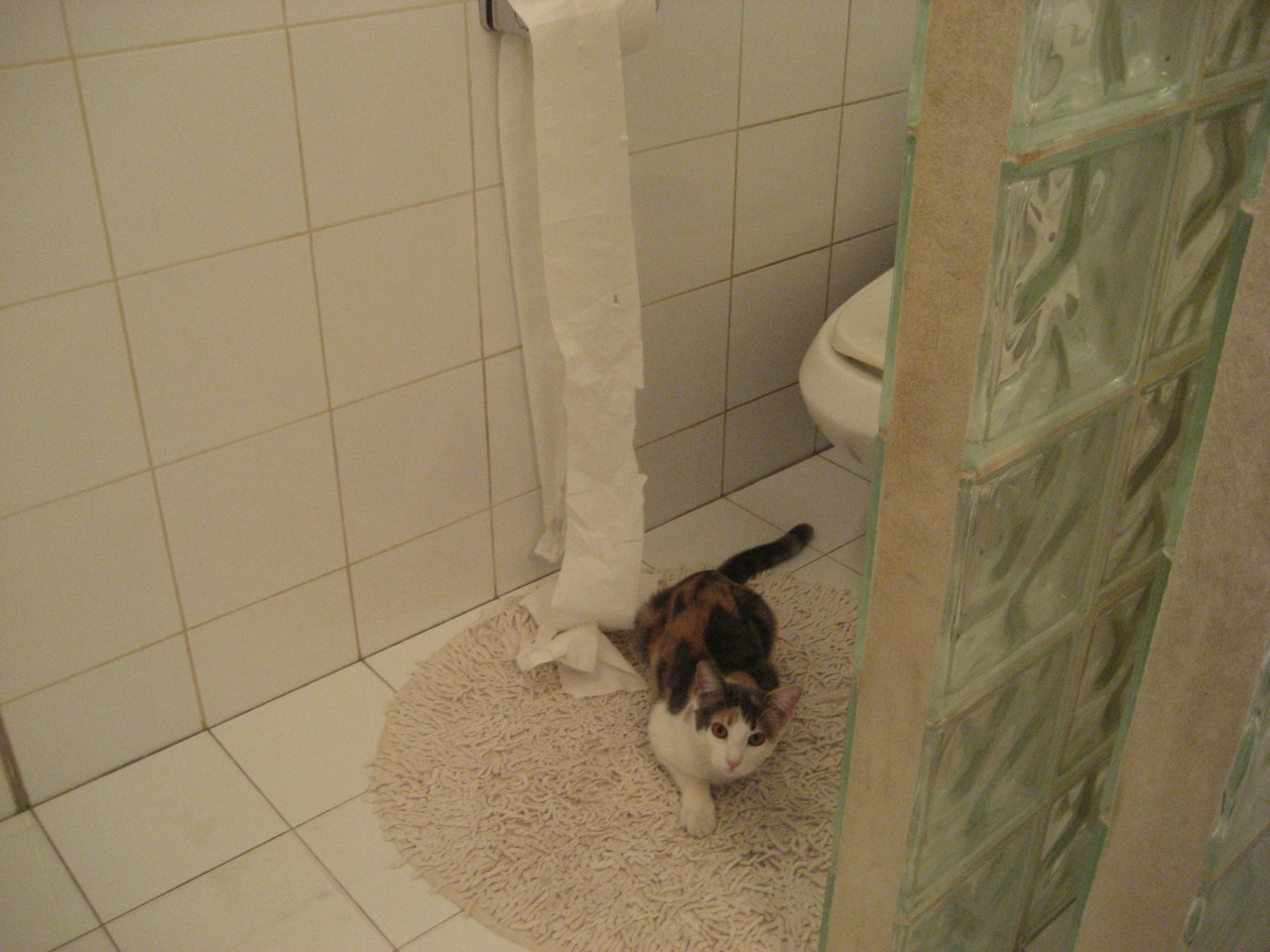 青训体系改革,注重技术与战术结合,青训模式