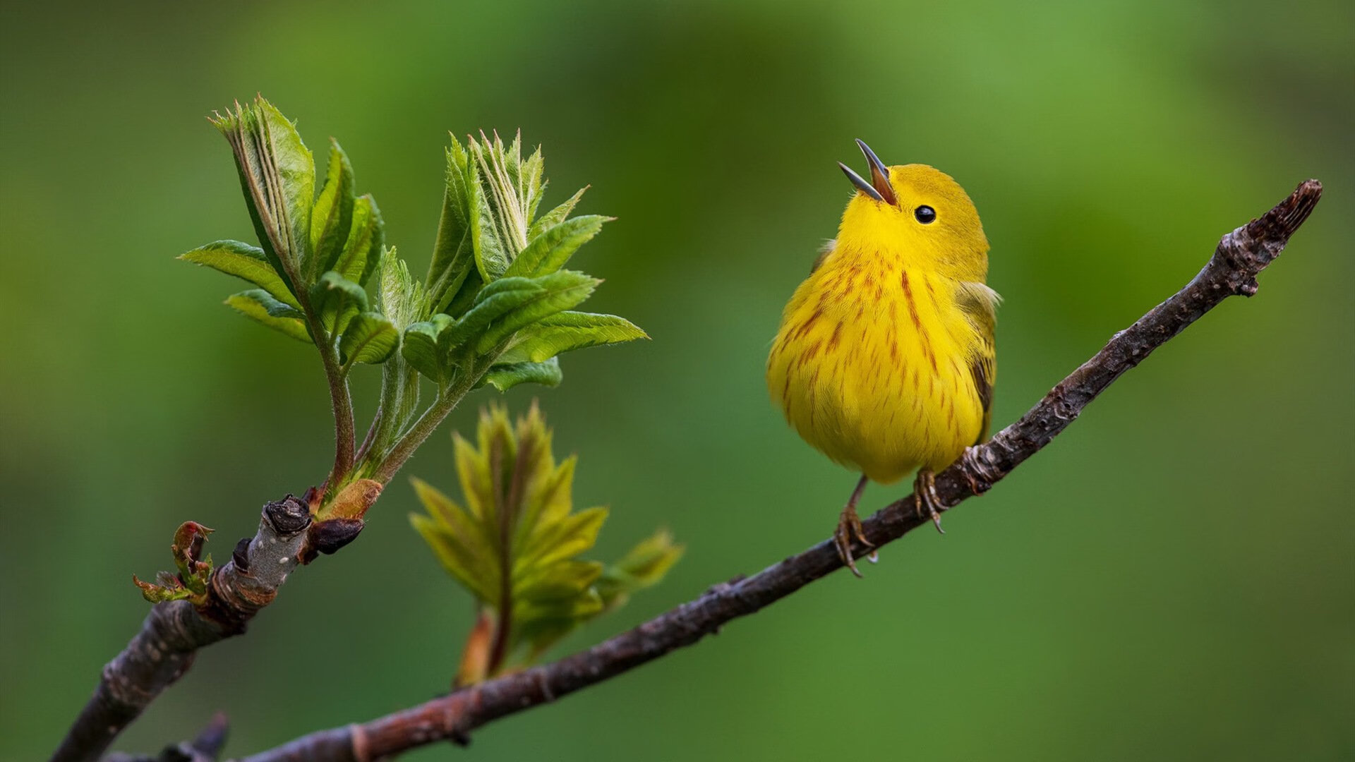 青少足球“名师+名队+名赛”深度融合,促进青训水平再上新台阶