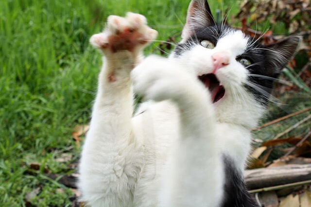 马刺在加时赛中展现“钢铁意志”,逆转战胜对手!,马刺队战术视频