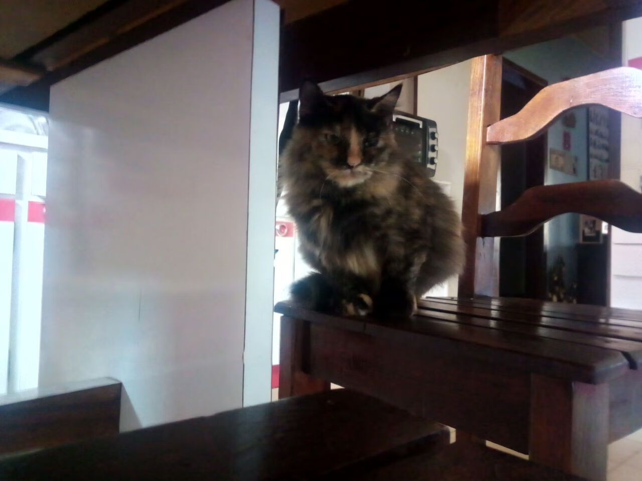 -上海久事进攻多样化策略显成效，上海久事能进季后赛吗