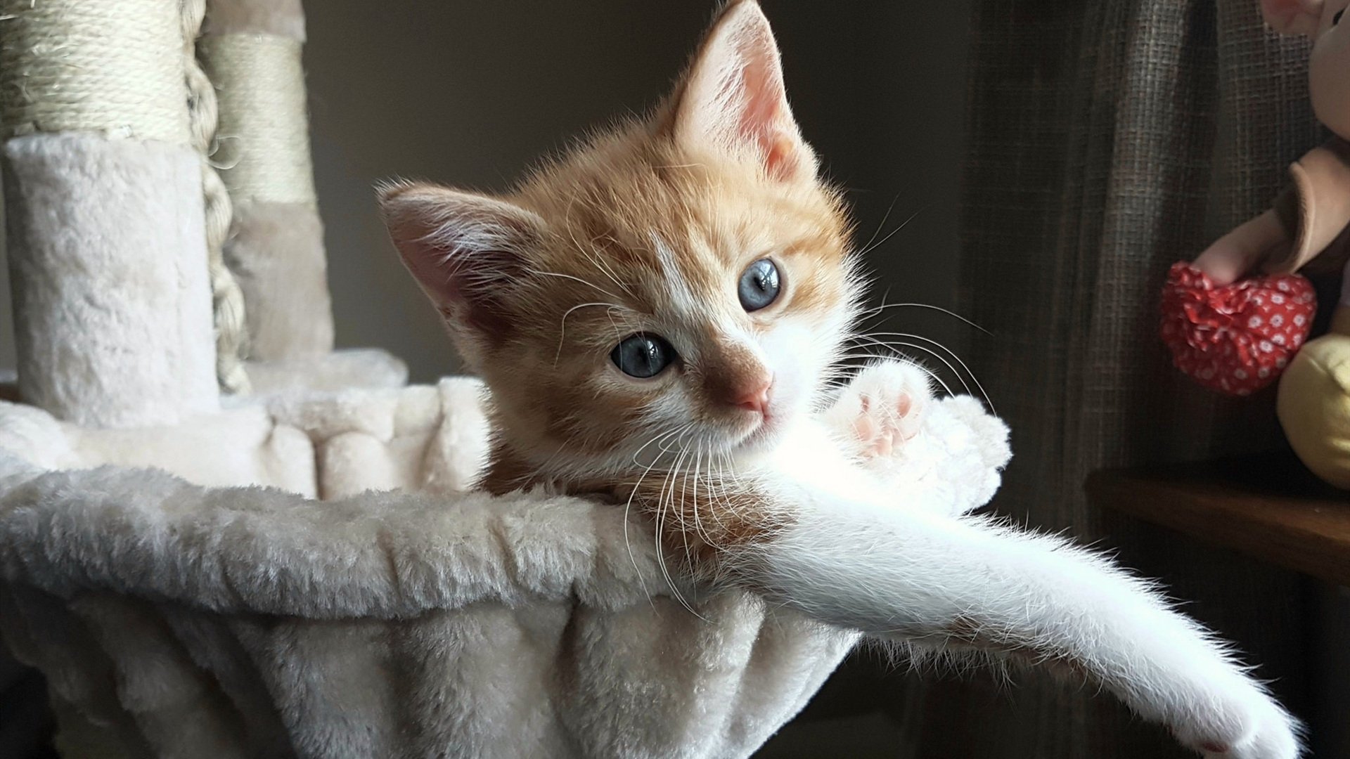 利物浦客场战胜阿斯顿维拉，英超卫冕梦想闪现，英超利物浦对阿斯顿维拉